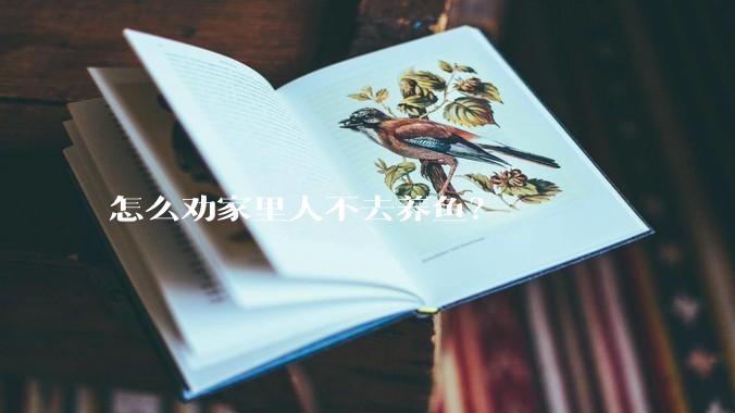怎么劝家里人不去养鱼？
